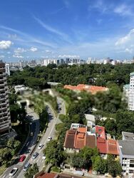 Cairnhill Crest (D9), Condominium #563589151